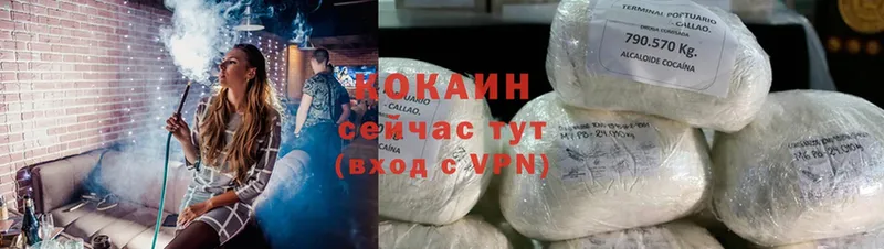 Cocaine Fish Scale  сколько стоит  МЕГА ссылка  Агидель 